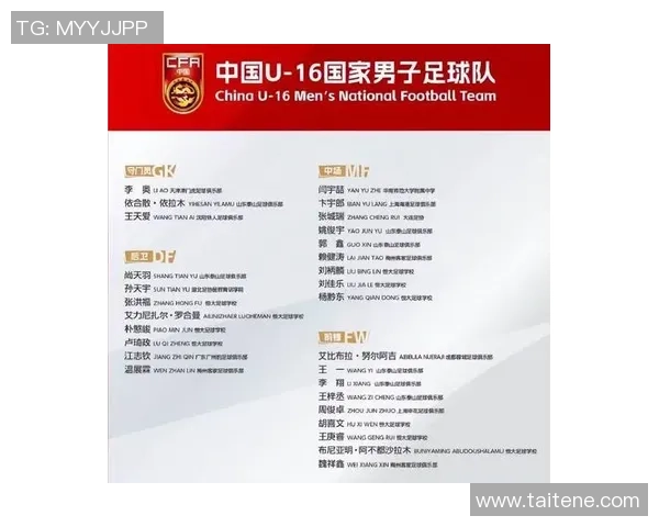 中国足球球星名单及其在国际赛场上的表现与成就分析