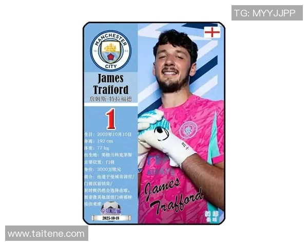 曼城足球明星前十强排名揭晓 谁是蓝月亮的无冕之王 曼城足球明星前十强排名揭晓 谁是蓝月亮的无冕之王