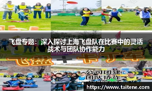 飞盘专题：深入探讨上海飞盘队在比赛中的灵活战术与团队协作能力